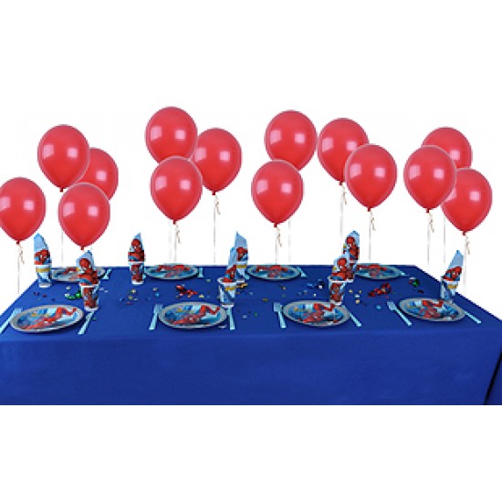 10 Kişilik Spiderman Ekonomik Set