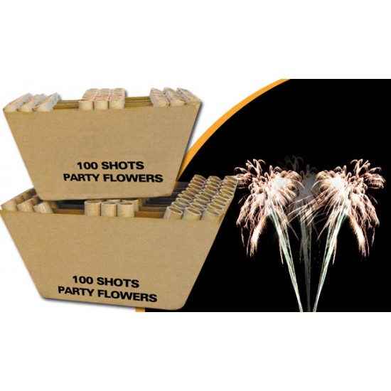 100 Atımlık Çapraz Batarya